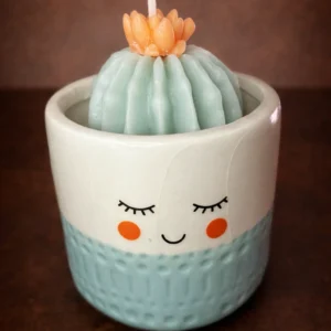 Vela artesanal en forma de cactus en maceta decorativa con diseño sonriente