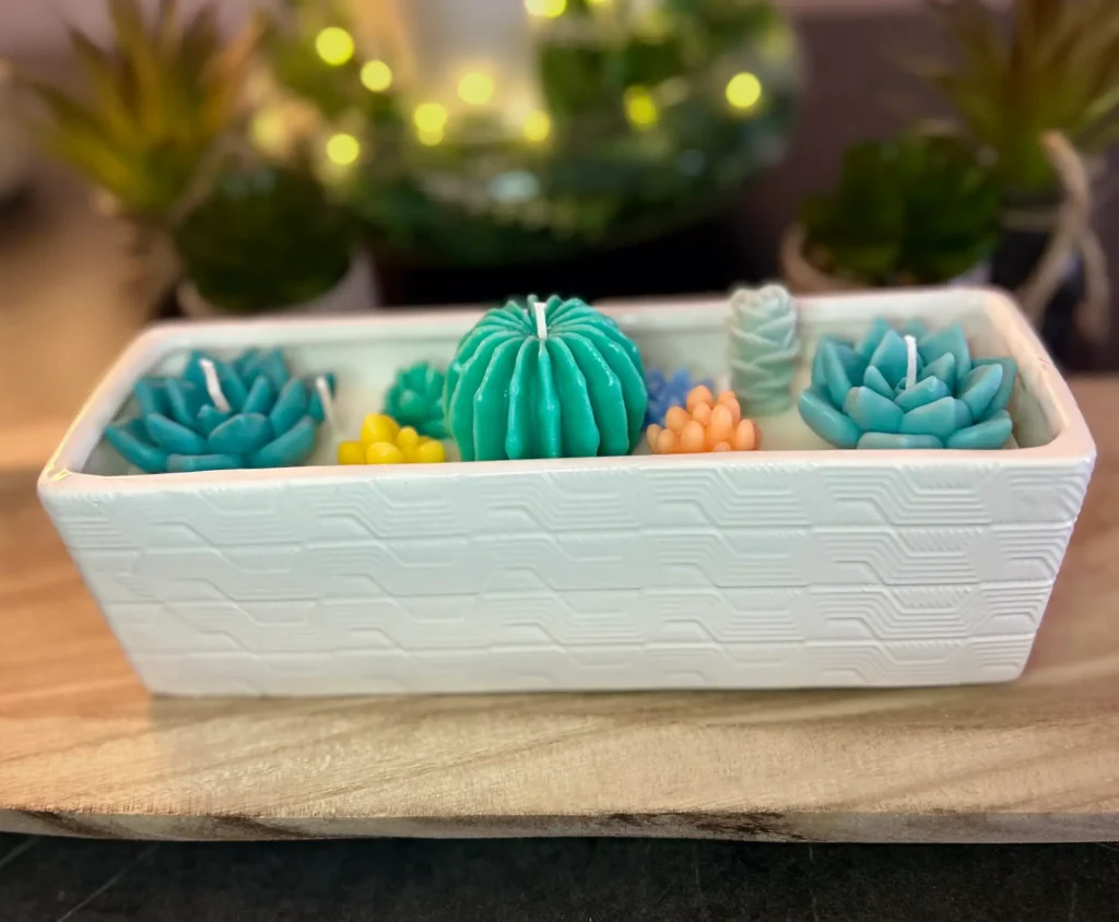 Terrario Zen es una vela artesanal inspirada en la serenidad de los jardines botánicos y la belleza minimalista de los cactus y suculentas