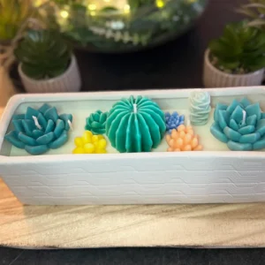 Terrario Zen es una vela artesanal inspirada en la serenidad de los jardines botánicos y la belleza minimalista de los cactus y suculentas